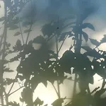 Planaiperle דירה שלאדמינג