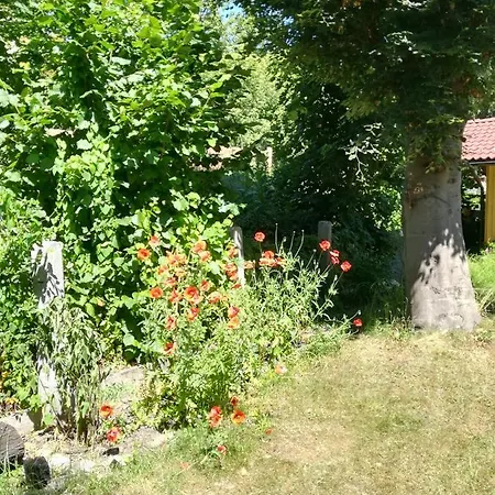 Planaiperle 아파트 *