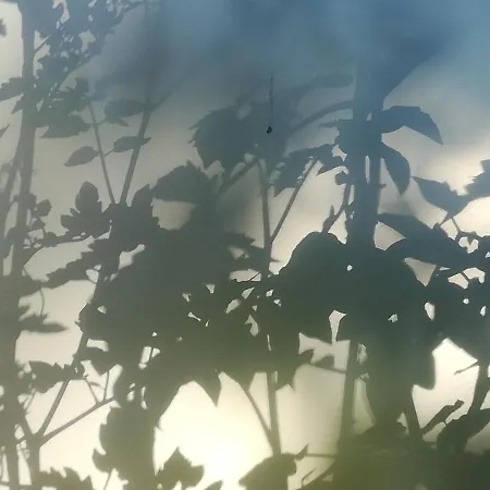 Planaiperle 아파트 슈라드밍