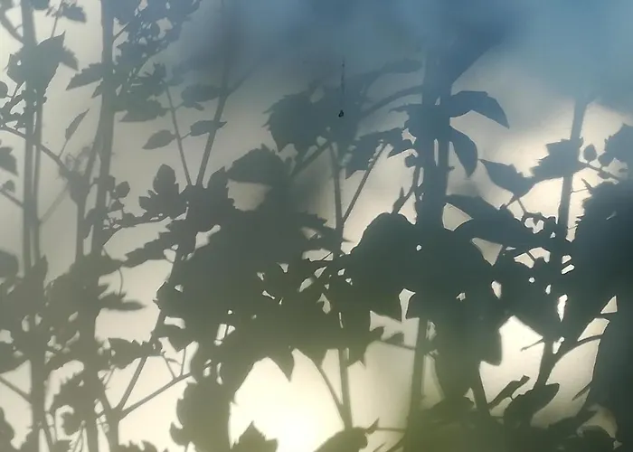 Planaiperle Apartmán Schladming