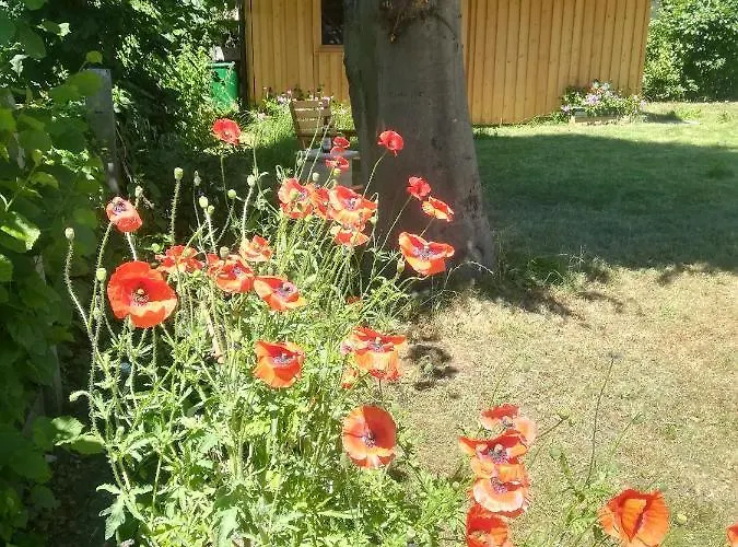 Apartmán Planaiperle Schladming